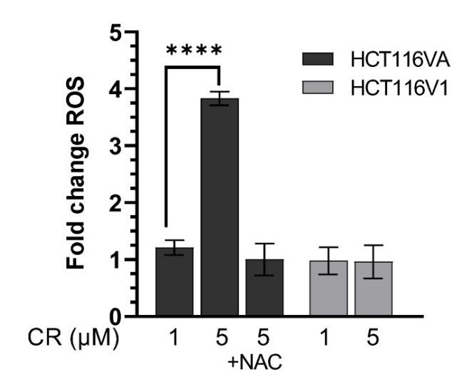 CR increases ROS in MLH1 deficient cells.jpg